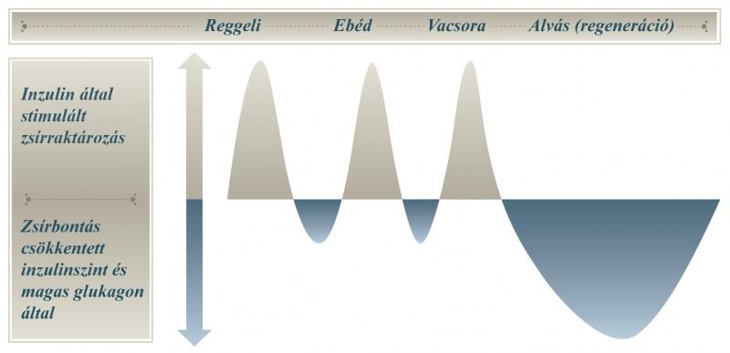 Fogyókúra közben így változik az inzulinszint - jopatikus.hu