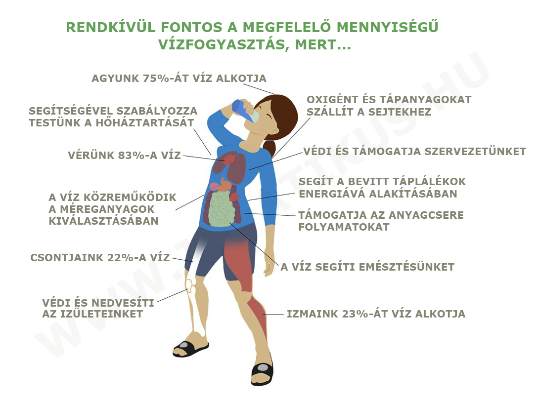 Fontos a megfelelő mennyiségű folyadékbevitel -jopatikus.hu