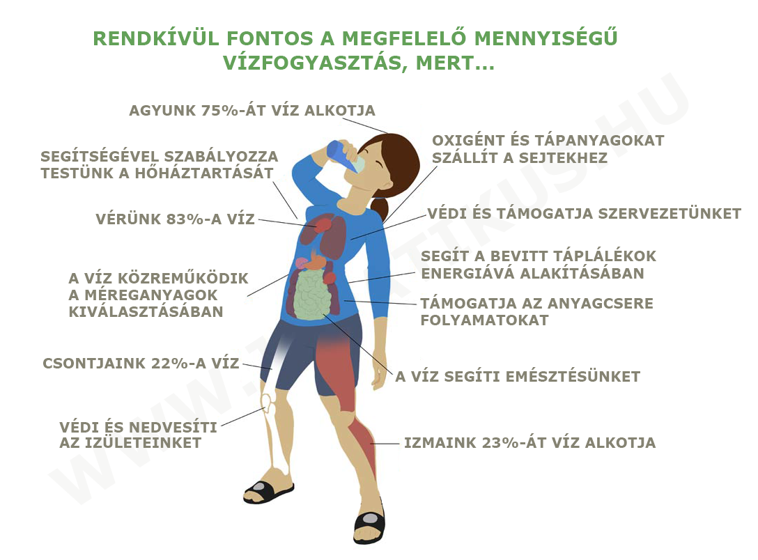 Igyunk sok folyadékot fogyókúra alatt is - joipatikus.hu